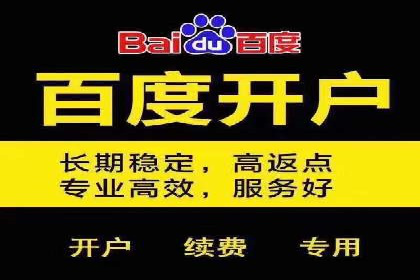 搜索引擎营销（SEM）在移动端的推广案例